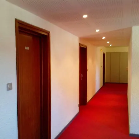 Studio Neuf 14m² 2 Alpes Plein Centre Apartment *